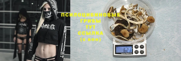 синтетический гашиш Покачи