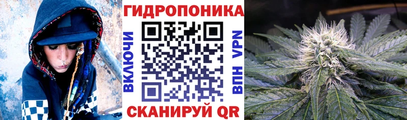 Шишки марихуана White Widow  mega tor  Терек  закладки 